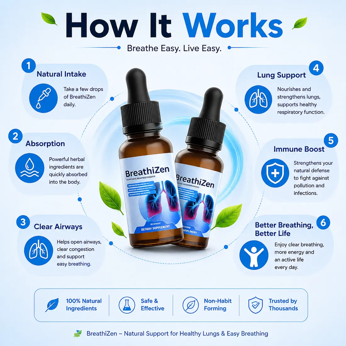How BreathiZen works: daily drops, absorption, gradual respiratory and immune support
